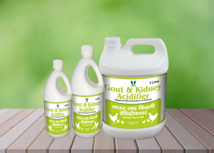 Chick Feed Supplement Manufacturer in India