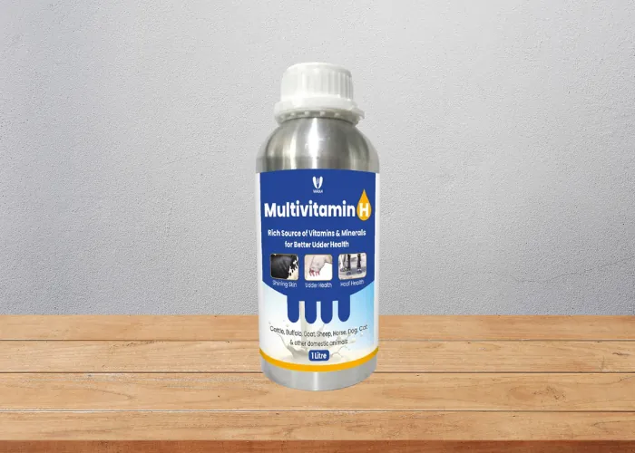 VARAH Multivitamin H liquid for export