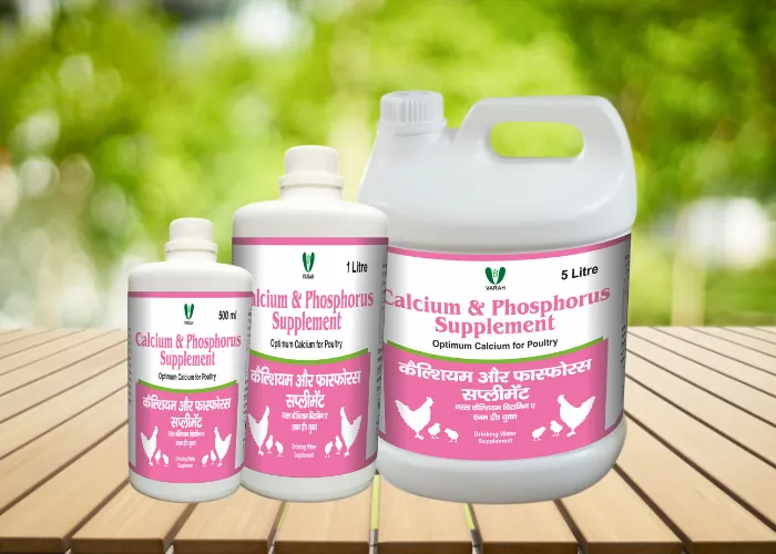 VARAH Calcium and Phosphorus Supplement for poultry