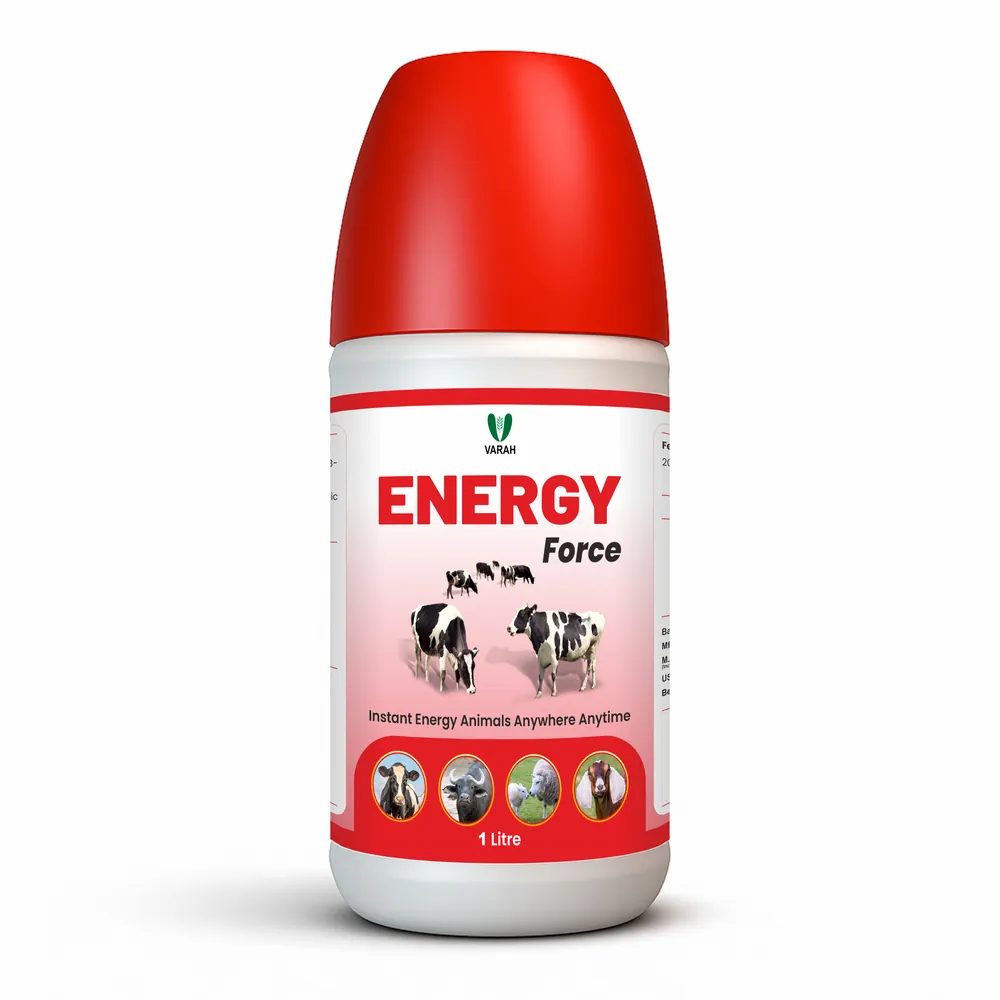 Energy Force