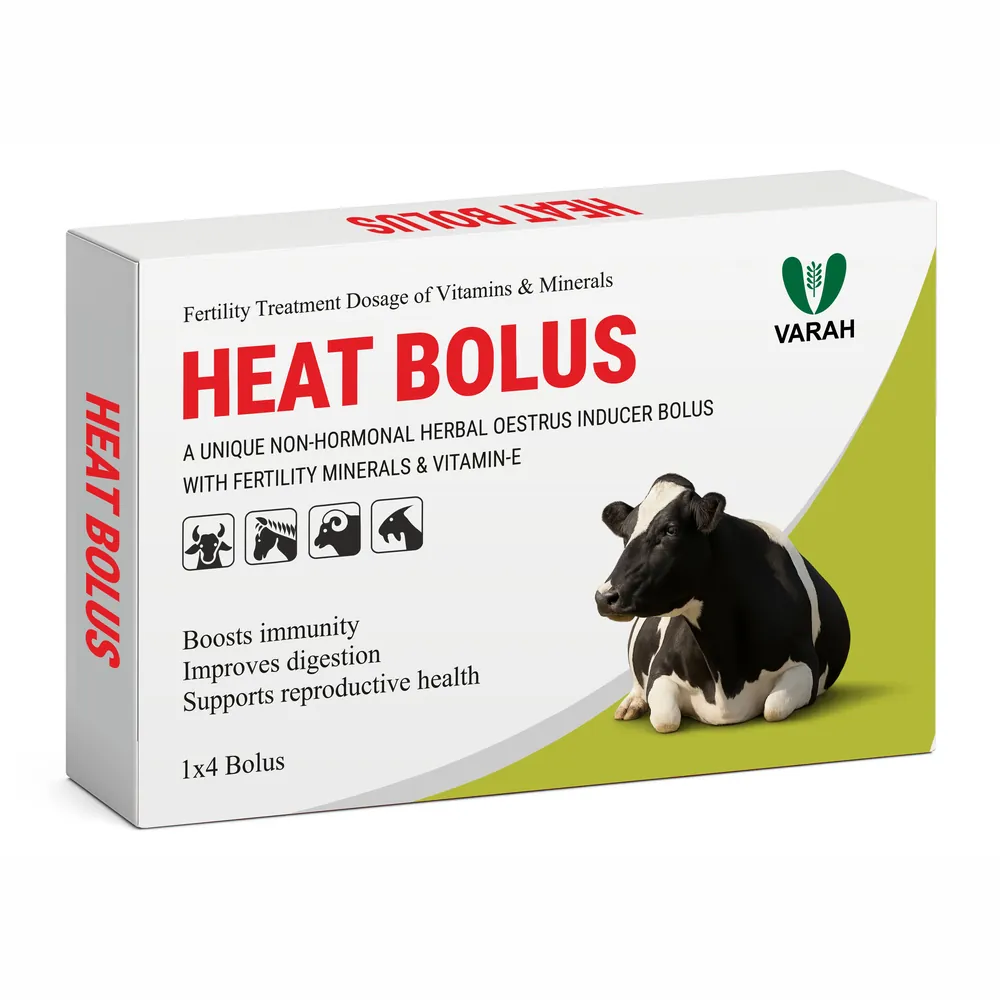 Heat Bolus Bolus - cattle supplement by Varah Healthcare