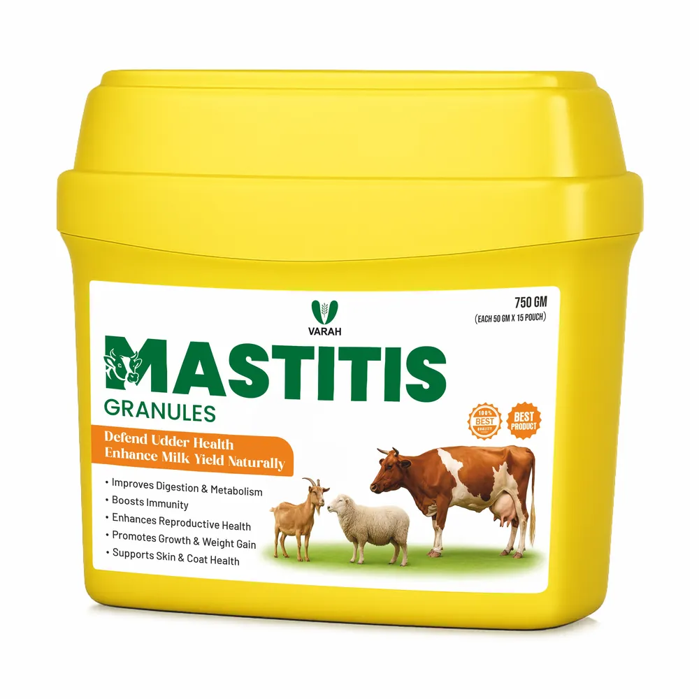 Mastitis Granules 750 gm - cattle supplement by Varah Healthcare