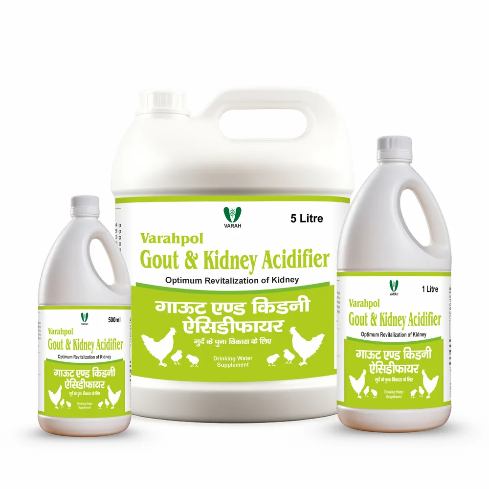 Gout & Kidney Acidifier Liquid 5L - poultry supplement by Varah Healthcare